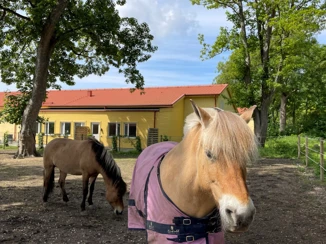 Unika Arwidius Väg | Gruppbostäder i Arlöv, Burlöv