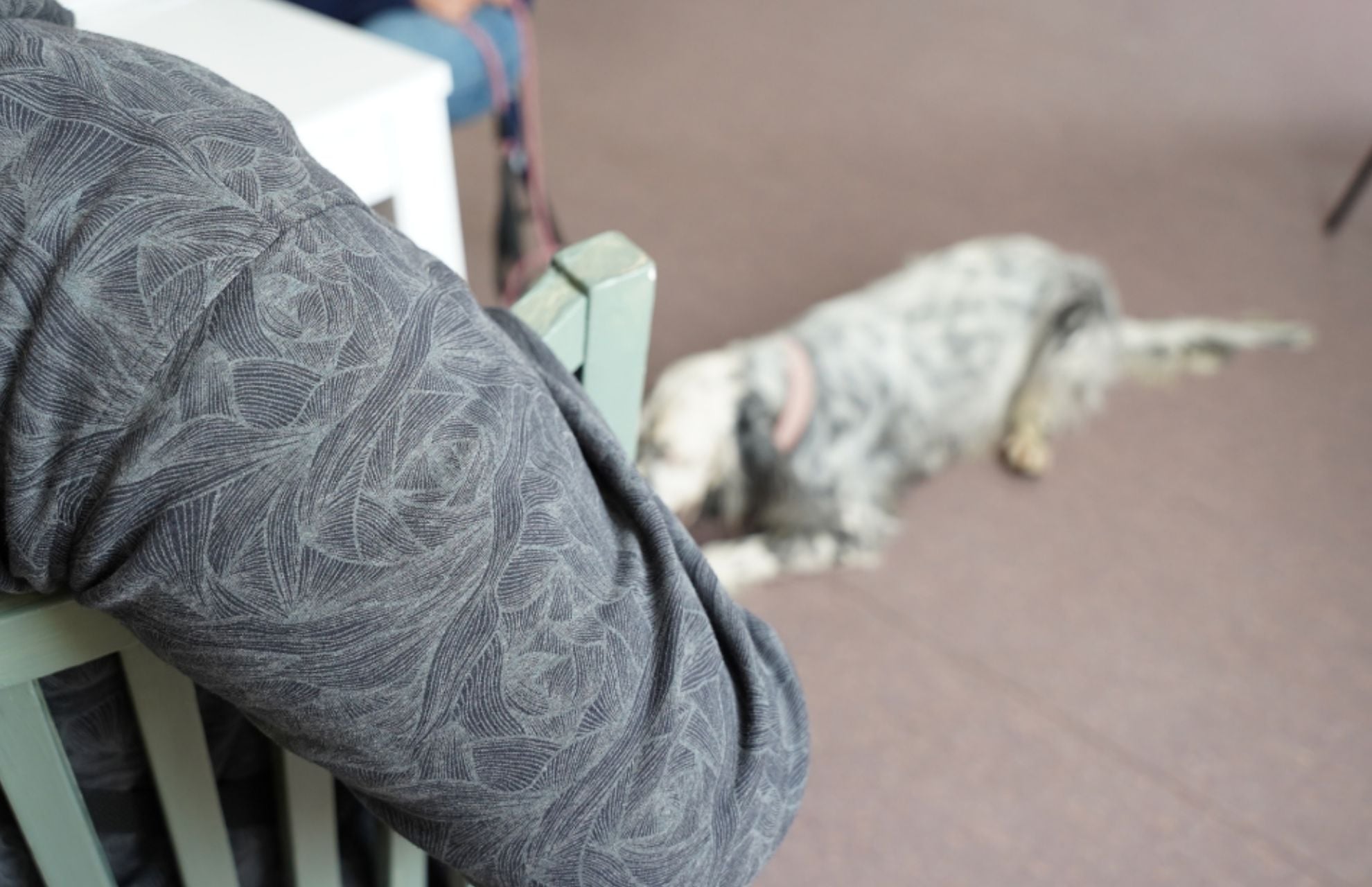 En person sitter på en stol med en hund framför sig. 